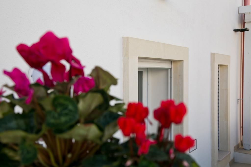 Residence Giuliana Santa Maria di Leuca Exterior foto